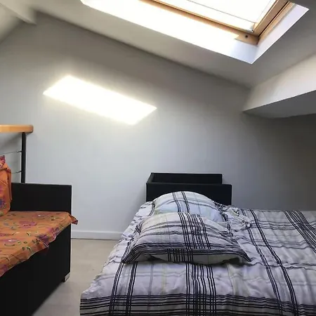 Duplex,terrasse Apartment Saint-Denis (Seine-Saint-Denis)